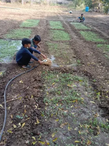 ANAN Farming-watering-plants-1